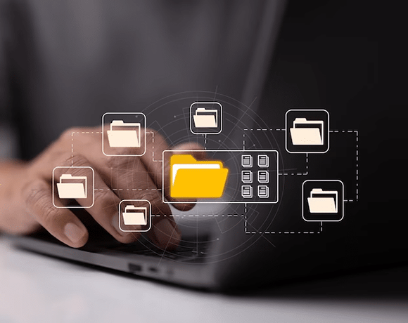 File Management